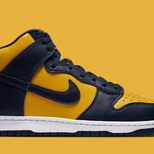 Nike Dunk High Michigan (2020)